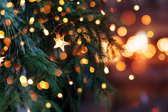 Christmas tree with garland lights. Evening city with blurred background